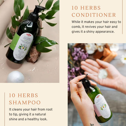 A visual of Otaci 10 Herbs Shampoo and conditioner.