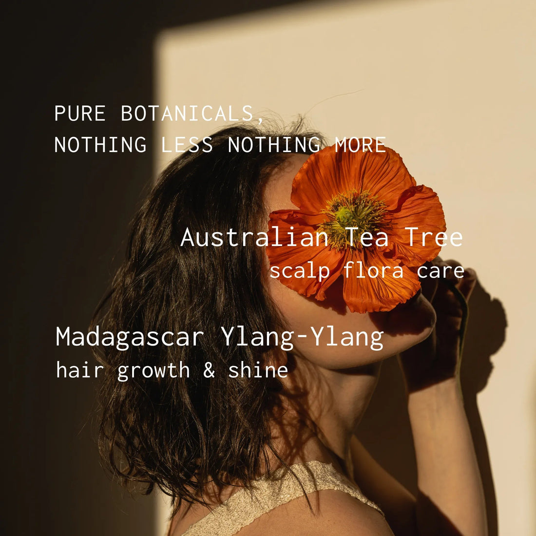 banyo | Exotic Castor Aromatic Hair Treatment – Strength &amp; Shine – 2 FL Oz - Klearus