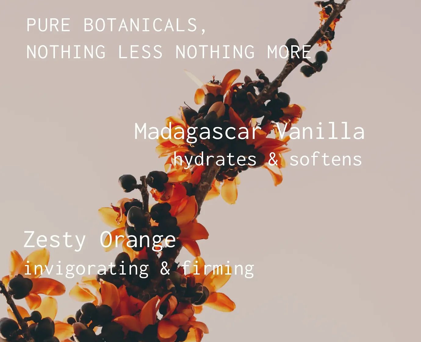 banyo | Patchouli Zest Aromatic Body Oil – Warm Citrus + Vanilla Notes – 2 FL Oz - Klearus