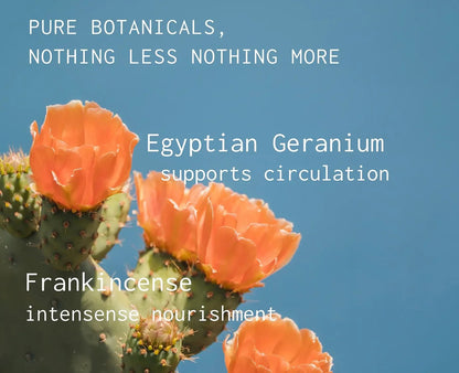 banyo | Petal Woods Aromatic Body Wash – Floral Woods + Benzoin Calm – 8 FL Oz - Klearus