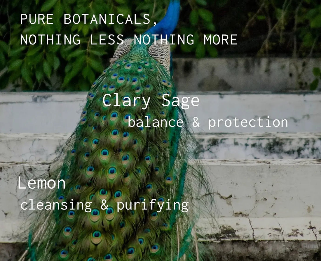 banyo | Sage Aegis Aromatic Aura Mist – Clarity & Calm – 2 FL Oz - Klearus