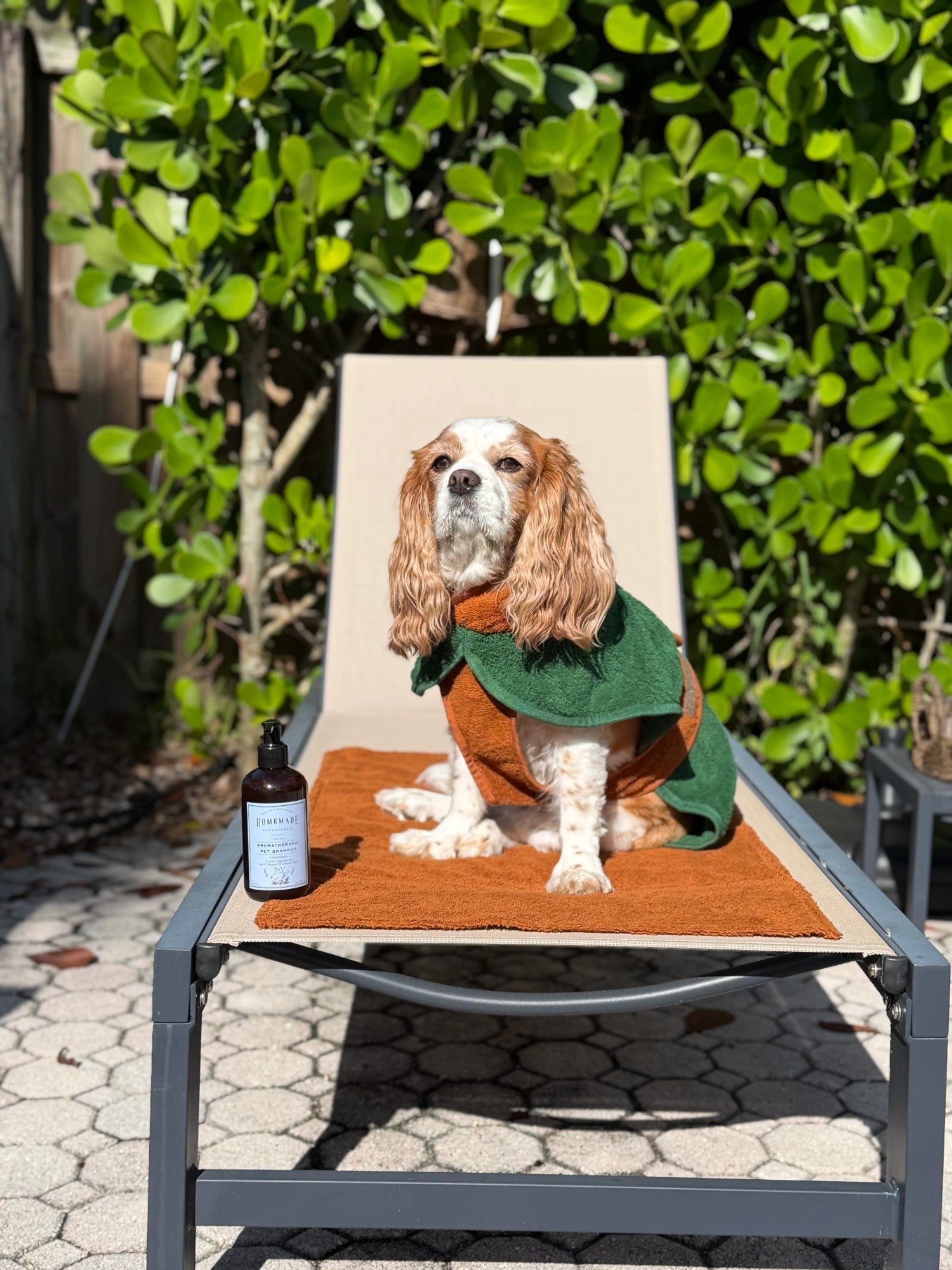 ENUSUAL Puprobe Dog Bathrobe &amp; HMA Pet Shampoo Bundle - Klearus